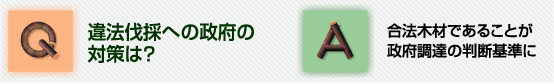 Ｑ違法伐採への政府の対策は？Ａ合法木材であることが政府調達の判断基準に