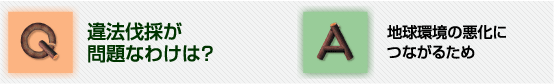 Q違法伐採が問題なわけは?A地球環境の悪化につながるため